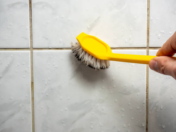 Best Mold Remediation for Schools in Gruetli Laager, TN