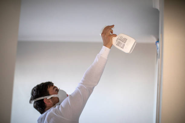 Best Insurance-Related Mold Remediation in Gruetli Laager, TN