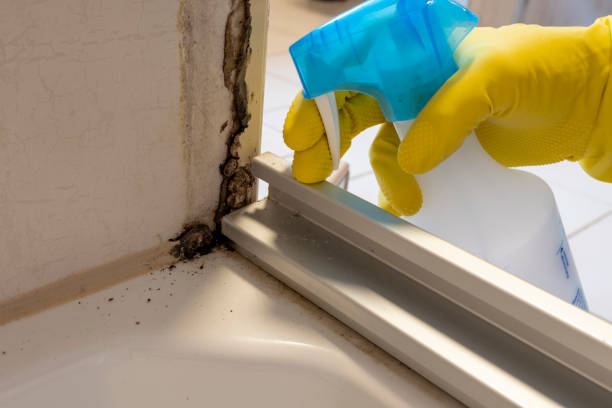 Best HVAC Mold Remediation in Gruetli Laager, TN