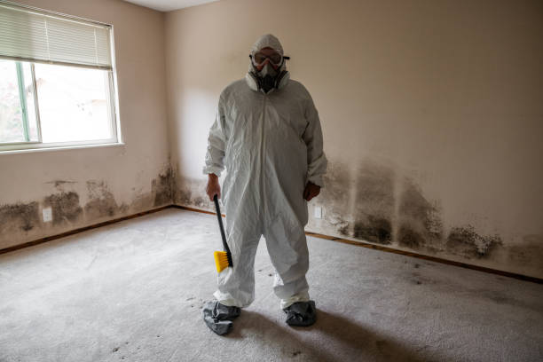 Best Mold Testing and Inspection Services in Gruetli Laager, TN